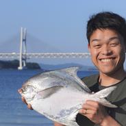 瀬戸内 マナガツオ　(中)　約1.5㌔ 1.5㌔ 果物や野菜などのお取り寄せ宅配食材通販産地直送アウル