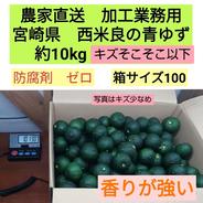 宮崎県　西米良の青ゆず　キズそこそこ以下　約10kg 10kg 果物や野菜などのお取り寄せ宅配食材通販産地直送アウル