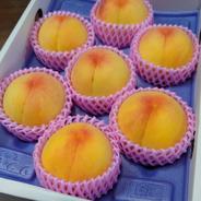 第3回全国桃選手権金賞受賞！中生のゴールデンピーチ【つきあかり】 １箱　約２kg（6~8玉入り） 果物や野菜などのお取り寄せ宅配食材通販産地直送アウル