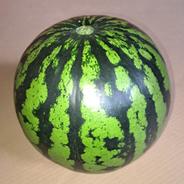 山形県産　羅皇　すいか　Sサイズ　　家庭用 8～10㎏ 果物や野菜などのお取り寄せ宅配食材通販産地直送アウル