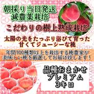 *朝採り当日発送*美味しくなるまで収穫しない！こだわりの樹上熟成栽培桃 桃 3kg　品種おまかせコース 果物や野菜などのお取り寄せ宅配食材通販産地直送アウル