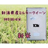 新潟県産ミルキークイーン10k 10kg 果物や野菜などのお取り寄せ宅配食材通販産地直送アウル