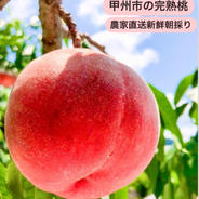 山梨の桃　約2kg 秀品 約2kg  果物や野菜などのお取り寄せ宅配食材通販産地直送アウル