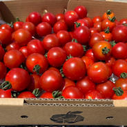 訳あり！！ミニトマト🍅ほれまる🍅 2kg 果物や野菜などのお取り寄せ宅配食材通販産地直送アウル