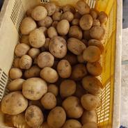 新じゃが(ニシユタカ) 5kg 果物や野菜などのお取り寄せ宅配食材通販産地直送アウル