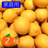 【家庭用】レモン 2kg 皮ごと楽しめる♡ フレッシュ！ 愛媛産！！ 9個前後(目安) 果物や野菜などのお取り寄せ宅配食材通販産地直送アウル
