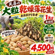 農薬・化学肥料・除草剤不使用｜大粒おおまさりネオの殻付き乾燥落花生