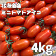 北海道産ミニトマトアイコ4kg 4kg 果物や野菜などのお取り寄せ宅配食材通販産地直送アウル