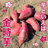 【数量限定】80サイズ えびさつま   金時芋  さつまいも 詰め合わせ 5キロまで 果物や野菜などのお取り寄せ宅配食材通販産地直送アウル