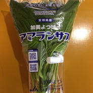 アマランサス葉 150g×20袋 果物や野菜などのお取り寄せ宅配食材通販産地直送アウル