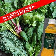 ココワークの新鮮野菜1kgとドレッシング 約1kg 果物や野菜などのお取り寄せ宅配食材通販産地直送アウル