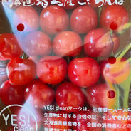 佐藤錦M1キロ 1kg 果物や野菜などのお取り寄せ宅配食材通販産地直送アウル