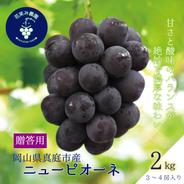 P-2上 花笑み農園   岡山の『ニューピオーネ』約２kg（３～４房）贈答用【9/6～順次発送】 約２ｋｇ（３～４房） 果物や野菜などのお取り寄せ宅配食材通販産地直送アウル