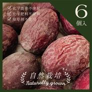 【Frozen Passion Jewel】フローズンパッションジュエル 凍結パッションフルーツ６玉 果物や野菜などのお取り寄せ宅配食材通販産地直送アウル
