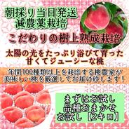 *朝採り当日発送*美味しくなるまで収穫しない！こだわりの樹上熟成栽培桃 桃　お試し2キロ 果物や野菜などのお取り寄せ宅配食材通販産地直送アウル