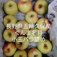 長野県五輪久保産 ぐんま名月 小玉バラ詰め 2.7kg 果物や野菜などのお取り寄せ宅配食材通販産地直送アウル
