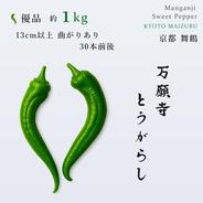 2026年　ブランド兵庫県産　万願寺とうがらし　栽培期間中農薬不使用 自然栽培】✨万願寺とうがらし！やめられない！止まらない！ご飯が進む