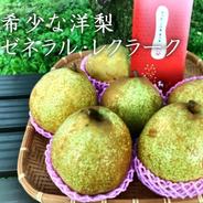 【洋梨の予約】福島県産ゼネラルレクラーク2ｋｇ（4～6玉）　ギフト・贈答用【10月お届け】 2ｋｇ（4～6玉） 果物や野菜などのお取り寄せ宅配食材通販産地直送アウル