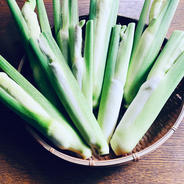 赤坂農園のマコモダケ 2キロ 果物や野菜などのお取り寄せ宅配食材通販産地直送アウル