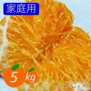 化粧箱5〜6個入 甘平 感動の新食感 柑橘の王様 除草剤使用無 万田酵素
