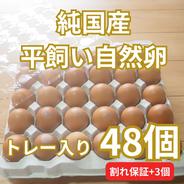 【トレー入り｜合計51個（48個+割れ保障3個）】とれたて純国産平飼い自然卵（有精卵）全て国産・添加物／保存料不使用｜大自然の恵みをそのまま提供 51個 果物や野菜などのお取り寄せ宅配食材通販産地直送アウル