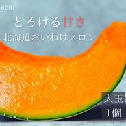 ギフトに大人気 【北海道メロン】 2玉入り 大玉 ｜ 果物/メロン 産直