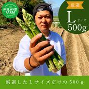朝採れアスパラガス】ミックスサイズ 500g 産地直送［クール便（冷蔵