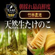 季節限定 京都府舞鶴産 たけのこ 3kg クール便 ｜ 野菜/たけのこ 産直