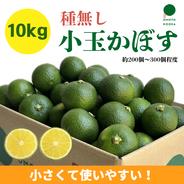 小さくて使いやすい！種無し小玉かぼす10kg（約200～300個） 種なし小玉かぼす10kg 果物や野菜などのお取り寄せ宅配食材通販産地直送アウル