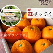 w紅はっさく🟠✨3.5kg前後 8〜11玉入 Lサイズ以上 ムッキーちゃん（ホワイトxオレンジ）付き　紅八朔 ムッキーちゃん付き（ホワイト/オレンジ）3.5kg前後 8〜11玉入 Lサイズ以上 果物や野菜などのお取り寄せ宅配食材通販産地直送アウル