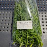 無農薬人参 葉っぱのみ 6束 ｜ 野菜/人参 産直アウル 農家・漁師など