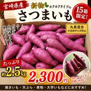 宮崎いちじく ｜ 果物/いちじく 産直アウル 農家・漁師など生産者から