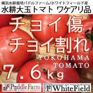 チョイ傷、割れ、水耕大玉トマト7.6kg(みそら) 水耕大玉トマト7.6kg（3.8kg×2/みそら） 果物や野菜などのお取り寄せ宅配食材通販産地直送アウル