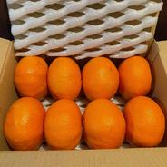 【はじめまして】甘平です 果汁タップリ濃い味に仕上がりました 3Lサイズ ８個入り（ご家庭用） 3Lサイズ（直径8.8〜9.4㎝）　8個　2270g 前後 （梱包込）キズあります 果物や野菜などのお取り寄せ宅配食材通販産地直送アウル
