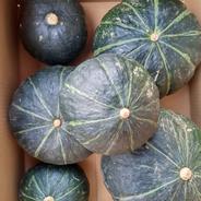 栗太郎という品種で栗みたいな甘いカボチャです 6個6kg 果物や野菜などのお取り寄せ宅配食材通販産地直送アウル