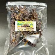 期間限定】希少な国産アーティチョーク（5～7個、約1〜1.2kg