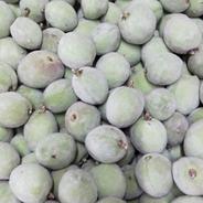 若桃・青桃1.5㎏ 1.5㎏ 果物や野菜などのお取り寄せ宅配食材通販産地直送アウル