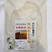 令和8年新米】マンゲツモチ 10kg 玄米 お餅や赤飯に最適。自家製米ぬか