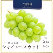 摘果桃　青桃　サイズバラバラ 若桃.青桃【4kg】 ｜ 果物/もも 産直アウル 農家・漁師など生産者から