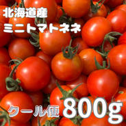 北海道産『ミニトマトネネ』200g×4パック ミニトマトネネ800g 果物や野菜などのお取り寄せ宅配食材通販産地直送アウル