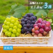 B-2 花笑み農園 岡山の『BKシードレス』約2kg（3～4房）贈答用