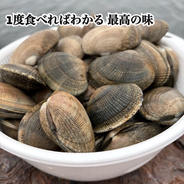 愛知県 三河湾産ブランドアサリ 1kg 大サイズ【期間限定で格安受注し