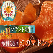 Y子　まどんな8kg×２箱ぐるりん 媛まどんな Bセット（8～12個前後）-贈答用 | のま果樹園