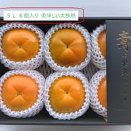発送予定日10月15日頃～ 『太秋柿』3L6個・化粧箱入 | 果物/柿