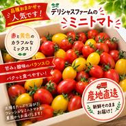 お得！大容量】きたあかり（じゃがいも）15kg ｜ 野菜/じゃがいも