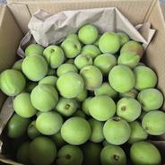 花山椒 ｜ 野菜/その他野菜 産直アウル 農家・漁師など生産者から直接