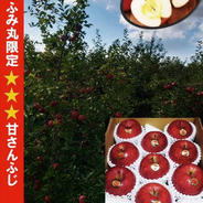 お歳暮！糖度13%以上保証 人気No.1★★★完熟サンフジ　約3kg 3kg 果物や野菜などのお取り寄せ宅配食材通販産地直送アウル