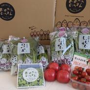 春菊専門農家と、トマト専門農家のコラボセット 春菊3袋　ほうれん草3袋　トマト　大玉500㌘　ミニトマト300㌘ 果物や野菜などのお取り寄せ宅配食材通販産地直送アウル
