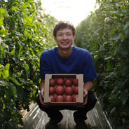 情熱トマト(約2kg) 約2kg 果物や野菜などのお取り寄せ宅配食材通販産地直送アウル