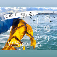 『一旬を味わう』希少な1番獲り生わかめ　2023 【2袋】 300g入り　2袋 果物や野菜などのお取り寄せ宅配食材通販産地直送アウル